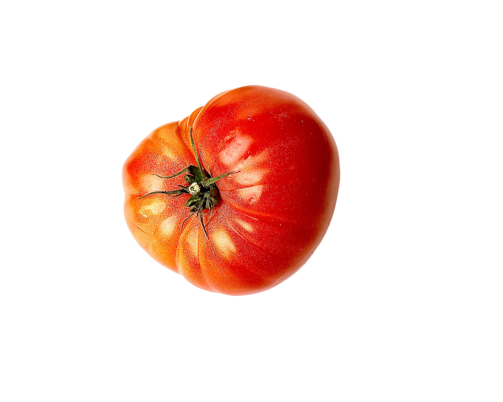 Red tomato on a white background