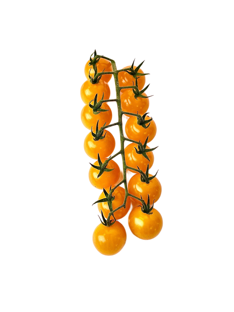 Bunch of yellow cherry tomatoes on a white background