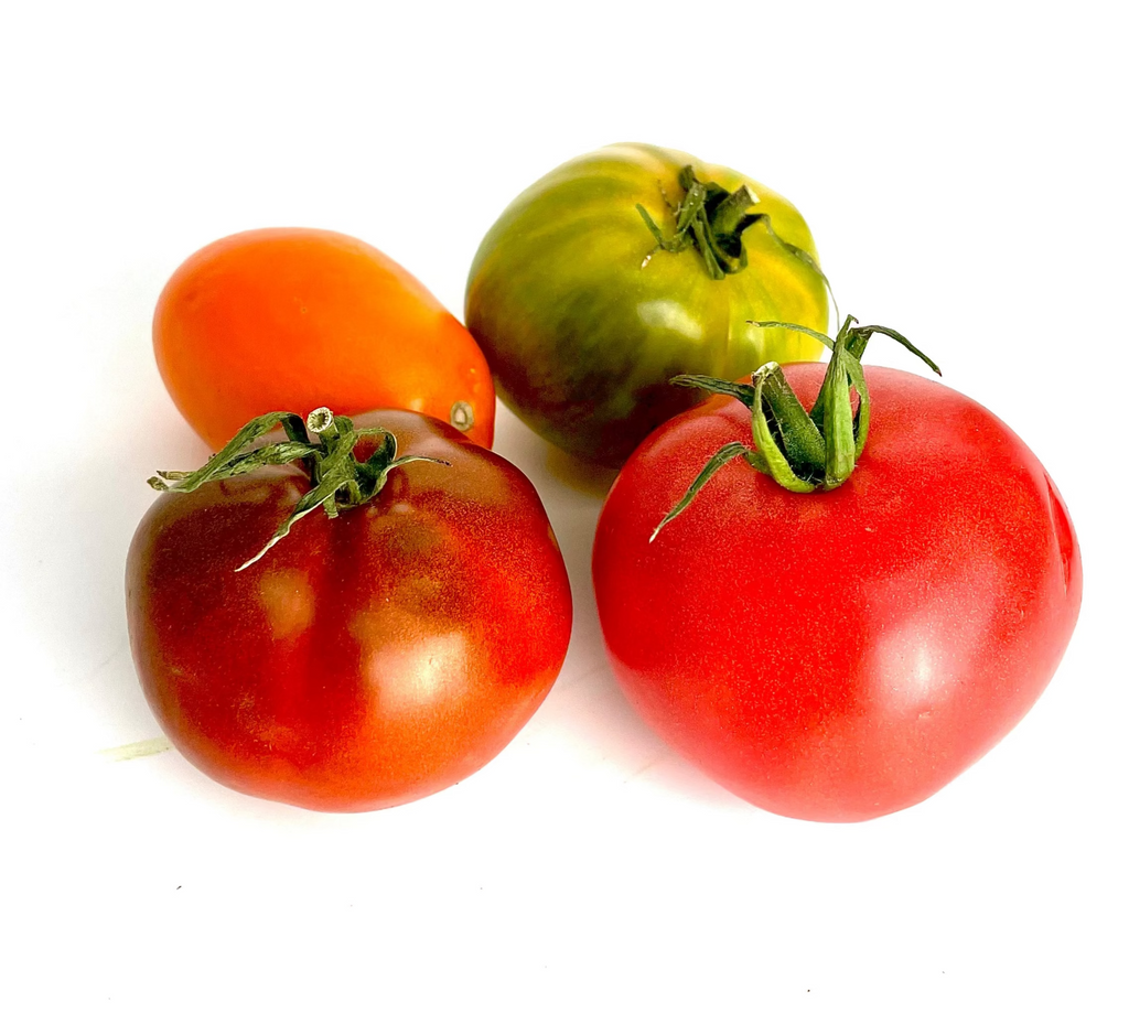 Four tomatoes of different colors on a white background