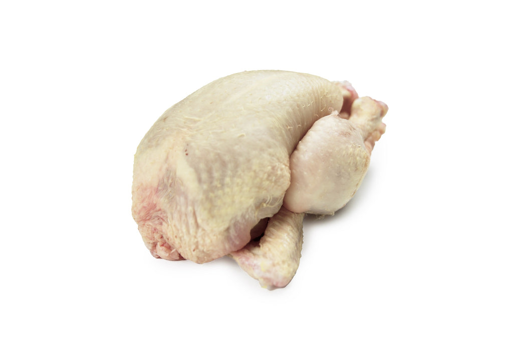 Helloworld Poussin Poussin – Notting Hill Fish + Meat